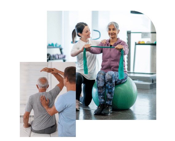 physiotherapy-main