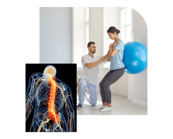 spinal